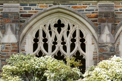 Duke building with flowering bushes